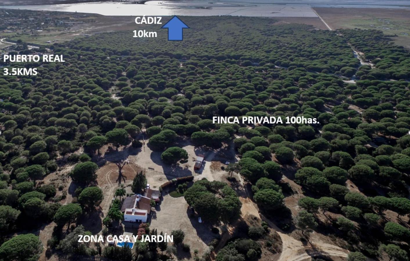Casa Dehesa De Las Yeguas Cádiz Eksteriør bilde
