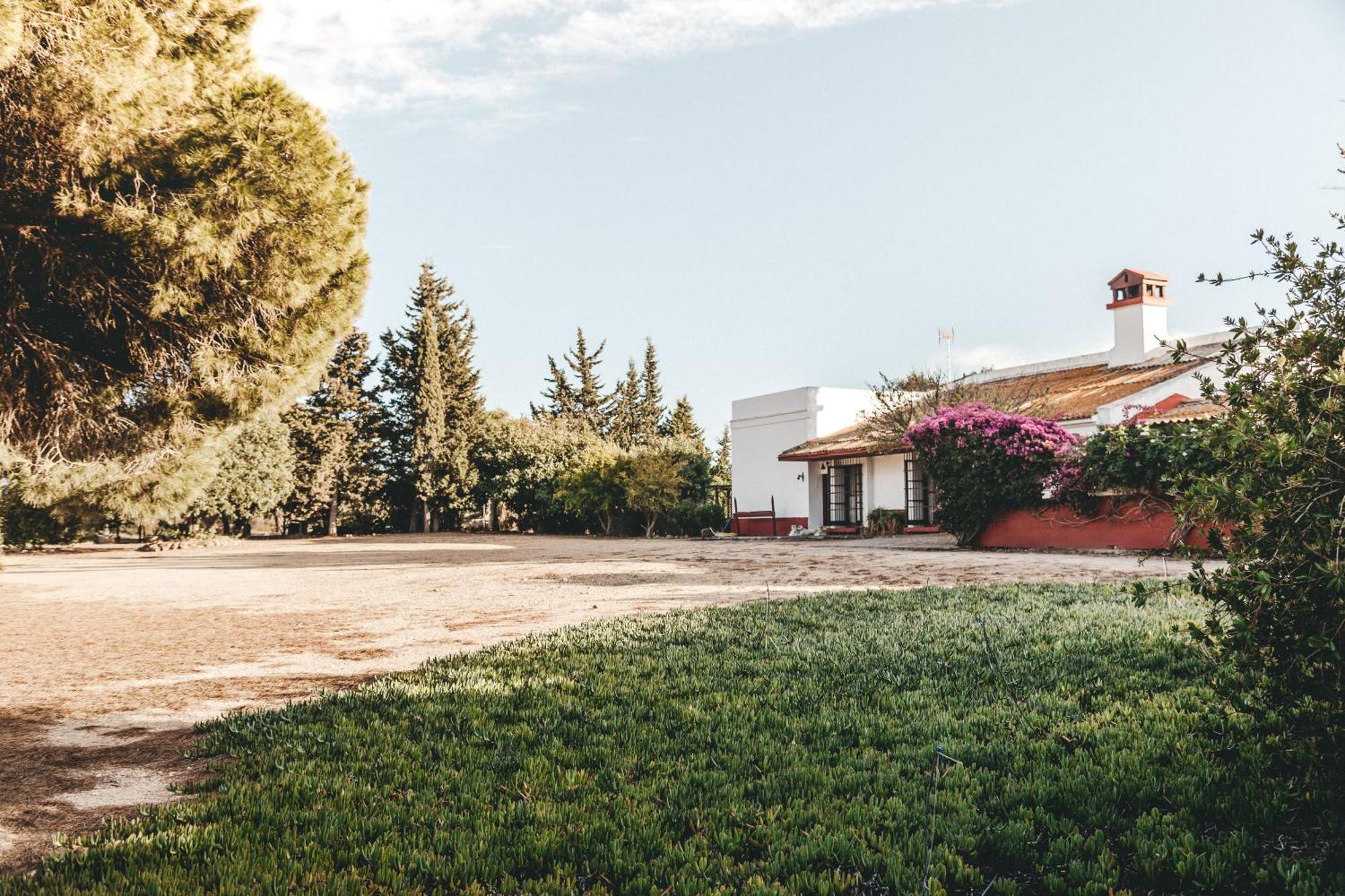 Casa Dehesa De Las Yeguas Cádiz Eksteriør bilde